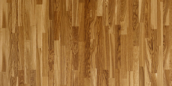 Паркетная доска Focus Floor OAK BRISOTE 3S Дуб Робуст (темные ламели), матовый лак